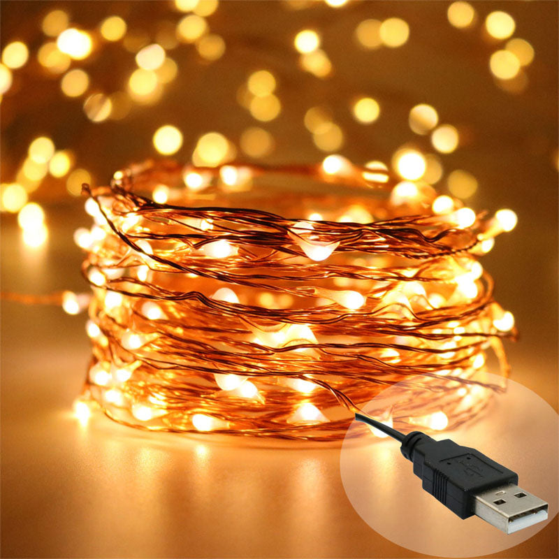 Copper LED USB string lights Christmas fairy lights wedding decorations-Fairy Lights-1stAvenue