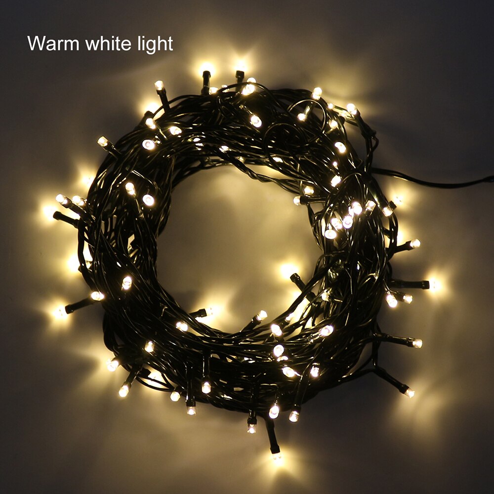10M dark green Wire Warm White EU Plug Fairy Lights LED String Lights Waterproof Wire Outdoor Indoor LED Christmas Decoration-Fairy Lights-1stAvenue
